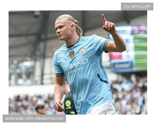 纽卡斯尔推进哈兰德级补强：开启豪门崛起的新篇章